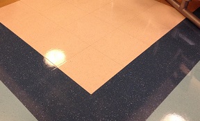 ETS Protective Floor Coating for VCT, Vinyl, Linoleum, Rubber